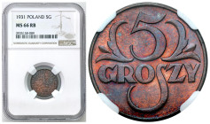 Second Polish Republic - A unique collection of penny coins, part 2
POLSKA / POLAND / POLEN / POLOGNE / POLSKO

II RP. 5 groszy 1931 NGC MS66 RB (M...