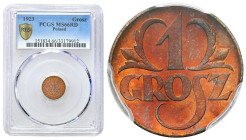 Second Polish Republic - A unique collection of penny coins, part 2
POLSKA / POLAND / POLEN / POLOGNE / POLSKO

II RP. 1 grosz 1923 PCGS MS66 RD (M...