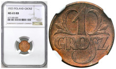 Second Polish Republic - A unique collection of penny coins, part 2
POLSKA / POLAND / POLEN / POLOGNE / POLSKO

II RP. 1 grosz 1923 NGC MS65 RB – B...