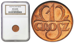 Second Polish Republic - A unique collection of penny coins, part 2
POLSKA / POLAND / POLEN / POLOGNE / POLSKO

II RP. 1 grosz 1928 NGC MS66 RD (MA...
