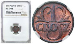 Second Polish Republic - A unique collection of penny coins, part 2
POLSKA / POLAND / POLEN / POLOGNE / POLSKO

II RP. 1 grosz 1933 NGC MS67 RB (MA...