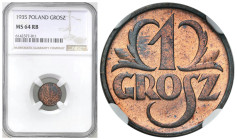 Second Polish Republic - A unique collection of penny coins, part 2
POLSKA / POLAND / POLEN / POLOGNE / POLSKO

II RP. 1 grosz 1935 NGC MS64 RB 
...