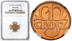 Second Polish Republic - A unique collection of penny coins, part 2
POLSKA / POLAND / POLEN / POLOGNE / POLSKO

II RP. 1 grosz 1937 NGC MS65 RD 
...