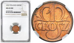 Second Polish Republic - A unique collection of penny coins, part 2
POLSKA / POLAND / POLEN / POLOGNE / POLSKO

II RP. 1 grosz 1937 NGC MS65 RD - B...