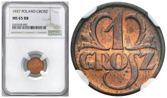 Second Polish Republic - A unique collection of penny coins, part 2
POLSKA / POLAND / POLEN / POLOGNE / POLSKO

II RP. 1 grosz 1937 NGC MS65 RB 
...