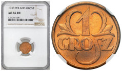 Second Polish Republic - A unique collection of penny coins, part 2
POLSKA / POLAND / POLEN / POLOGNE / POLSKO

II RP. 1 grosz 1938 NGC MS66 RD 
...