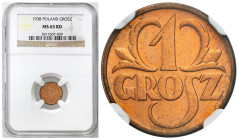 Second Polish Republic - A unique collection of penny coins, part 2
POLSKA / POLAND / POLEN / POLOGNE / POLSKO

II RP. 1 grosz 1938 NGC MS65 RD 
...