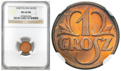 Second Polish Republic - A unique collection of penny coins, part 2
POLSKA / POLAND / POLEN / POLOGNE / POLSKO

II RP. 1 grosz 1938 NGC MS66 RB (2 ...