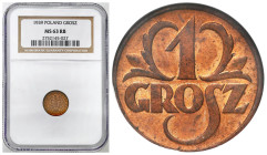 Second Polish Republic - A unique collection of penny coins, part 2
POLSKA / POLAND / POLEN / POLOGNE / POLSKO

II RP. 1 grosz 1939 NGC MS63 RB 
...