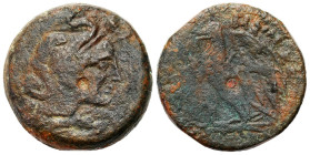 Ancient coins: Greece
Ancient Greece - Egypt. Ptolemy VIII Euergetes II (145-116) BC, Alexandria 
AW: Głowa Aleksandra Wielkiego w skórze słonia
RW...