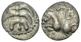 Helvetii AR Büschelquinar, mid 1st century BC 

Central Gaul, Helvetii. AR Büschelquinar (13 mm, 1.46 g), mid 1st century BC.
 Obv. Palmette made f...