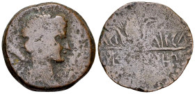 Juba II, with Kleopatra Selene AE Unit 

Kings of Mauretania. Juba II, with Kleopatra Selene. AE Unit (25 mm, 8.16 g), Caesarea, c. AD 8-15.
 Obv. ...