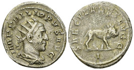 Philippus I AR Antoninianus, Lion reverse 

Philippus I Arabs (244-249 AD). AR Antoninianus (21-22 mm, 4.37 g), Rome, 248.
 Obv. IMP PHILIPPVS AVG,...