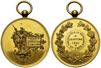 Brussels, Gilt AE Medal 1891 

Belgium, Brussels. Gilt AE Medal 1891 (51 mm, 58.33 g), Société Bruxelles Attractions, Grande fête de patinage, 4. Ja...