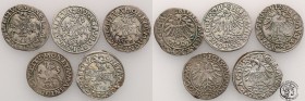 Sigismund II August. set of 5 Polgrosz (1/2 groszy (groschen), Vilnius

Różne daty i odmiany. Patyna.
Waga/Weight: srebro Metal: Średnica/diameter:...
