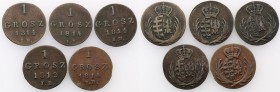 Duchy of Warsaw. 1 grosz 1812-1814 IB, Warsaw set of 5 pieces

Patyna.Kopicki 3674 i 3675
Waga/Weight: Cu Metal: Średnica/diameter: 


Stan zach...