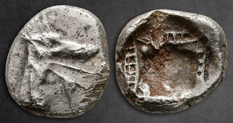 Caria. Kindya circa 510-480 BC. 
Tetrobol AR

12 mm, 1,72 g

Head of ketos ...