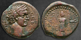 Judaea. Ascalon. Domitian AD 81-96. RY 191 = 87/8 AD. Bronze Æ