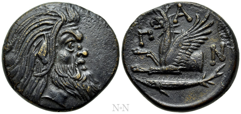 CIMMERIAN BOSPOROS. Pantikapaion. Ae (Circa 310-304/3 BC). 

Obv: Bearded head...