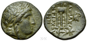 SELEUKID KINGDOM. Antiochos II Theos (261-246 BC). Ae. Sardes