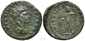 QUINTILLUS (270). Antoninianus. Cyzicus