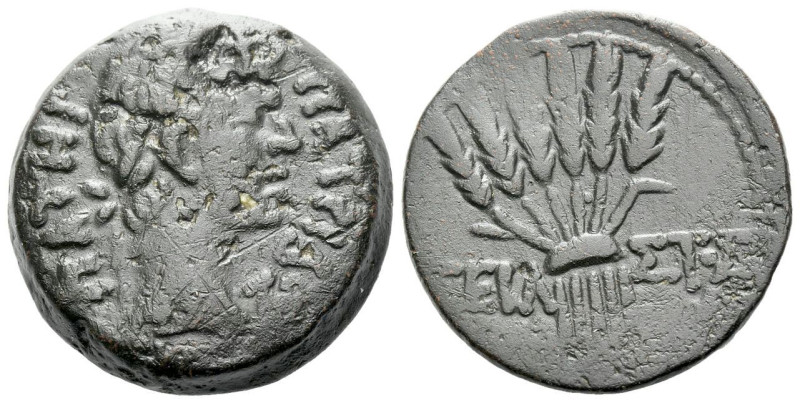 Egypt, Alexandria Octavian as Augustus, 27 BC – 14 AD Diobol circa 1-5 AD, Æ 25....