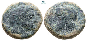 Sicily. Gela circa 315-310 BC. Bronze Æ