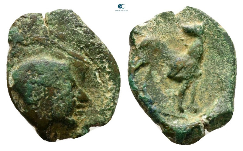 Sicily. Segesta circa 455-445 BC. 
Bronze Æ

13 mm, 0,75 g



Good Fine