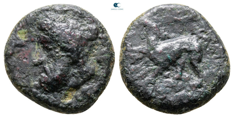 Sicily. Syracuse. Timoleon and the Third Democracy 344-317 BC. 
Tetras Æ

16 ...