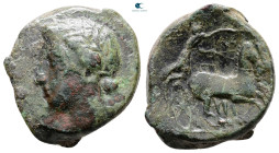 Sicily. Syracuse. Hiketas II 287-278 BC. Bronze Æ
