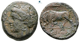 Sicily. Syracuse. Hieron II 275-215 BC. Bronze Æ