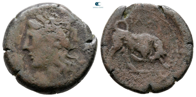 Sicily. Tauromenion circa 275-216 BC. 
Bronze Æ

20 mm, 6,80 g



Good Fi...