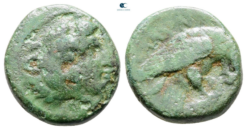 Kings of Macedon. Uncertain mint. Amyntas III 393-369 BC. 
Bronze Æ

16 mm, 3...