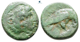 Kings of Macedon. Uncertain mint. Amyntas III 393-369 BC. Bronze Æ