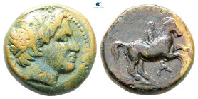 Kings of Macedon. Uncertain mint. Philip II of Macedon 359-336 BC. Bronze Æ