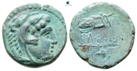 Kings of Macedon. Contemporary Barbaric Imitation. Alexander III "the Great" 336-323 BC. Bronze Æ