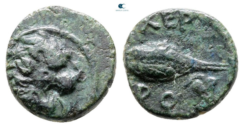 Thrace. Chersonesos circa 386-309 BC. 
Bronze Æ

11 mm, 1,14 g



Very Fi...