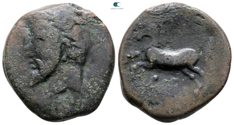 Kings of Numidia. Massinissa or Micipsa 203-118 BC. 
Bronze Æ

28 mm, 13,73 g...