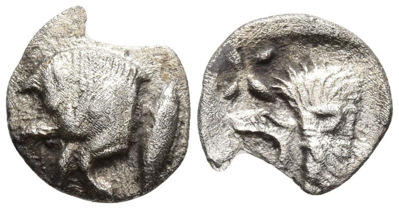 MYSIA. Kyzikos. (Circa 450-400 BC).
AR Hemiobol (8.3mm 0.39g)
Obv: Forepart of...