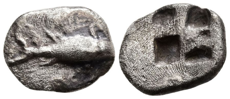 MYSIA. Kyzikos. (Circa 520-480 BC).
AR Hemiobol (7.6mm 0.36g)
Obv: Tunny fish ...