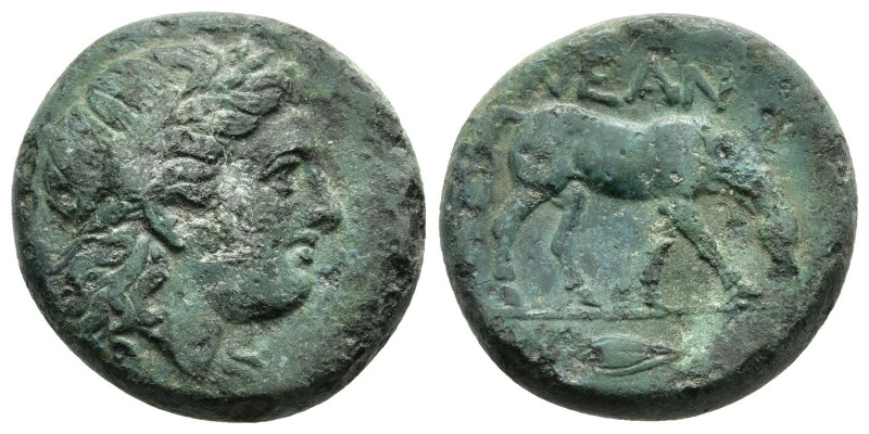 TROAS. Neandria. (Late 4th century BC)
AE Bronze (19.6mm 7.82g)
Obv: Laureate ...