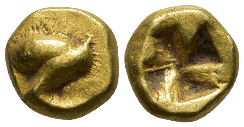 IONIA. Uncertain. (Circa 600-550 BC)
EL 1/24 Stater or Myshemihekte (6.5mm 0.67...