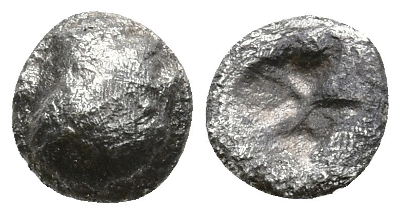 AR Hemitetartemorion (4.7mm 0.11g)