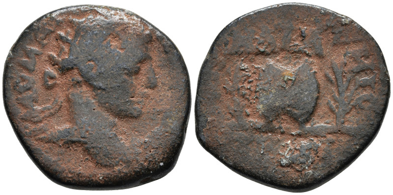 AE Bronze (22.2mm 6.93g)
