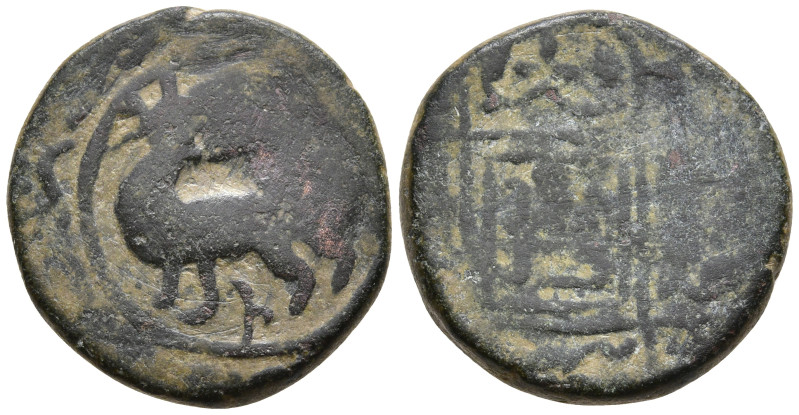 Islamic
AE Bronze (17.mm 3.48g)