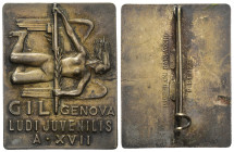 Periodo del Ventennio - Spilla Gioventù Italiana del Littorio Genova 1939 anno XVII - Opus Picchiani Barlacchi - gr. 13,69; mm. 36x28

SPEDIZIONE SO...