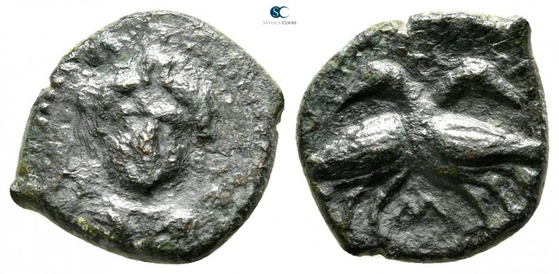 Lucania. Laüs circa 350-300 BC. 
Bronze Æ

15mm., 1,79g.

Head of Demeter (...