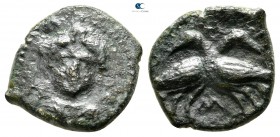 Lucania. Laüs circa 350-300 BC. Bronze Æ