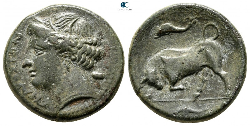Sicily. Syracuse. Agathokles 317-289 BC. 
Hemilitron Æ

20mm., 6,16g.

ΣΥΡΑ...