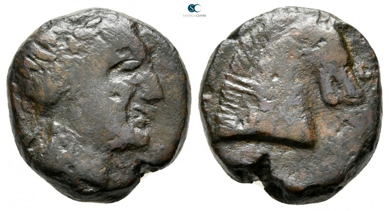 Sarmatia. Tyra circa 310-300 BC. 
Bronze Æ

16mm., 5,39g.

Laureate head of...
